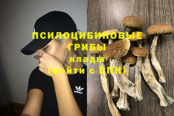 таблы Алзамай
