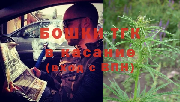 сатива Алексин