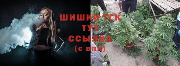 сатива Алексин