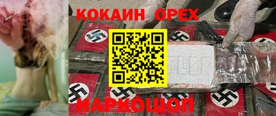 гашик Кулебаки
