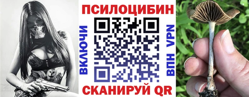 наркота  Избербаш  Галлюциногенные грибы Psilocybine cubensis 