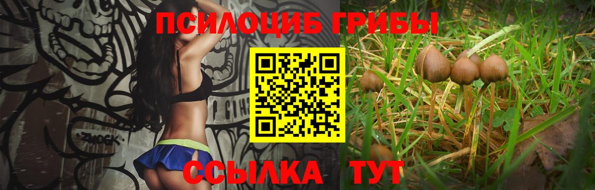 Псилоцибиновые грибы MAGIC MUSHROOMS Избербаш