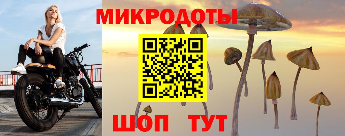Псилоцибиновые грибы прущие грибы  Вход с VPN  Избербаш 